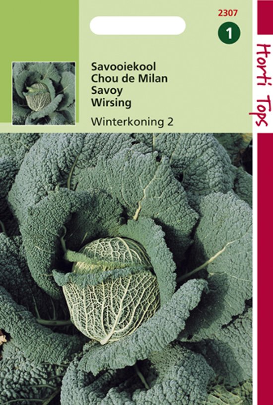Savooiekool Winterkoning 2 (Brassica) 250 zaden HT